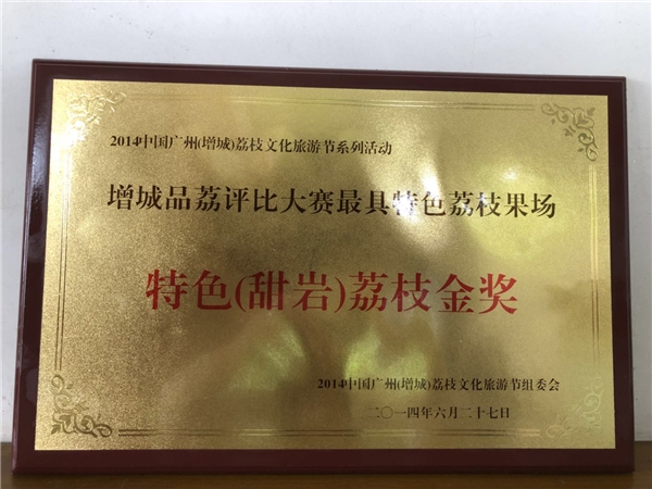 荣誉证书